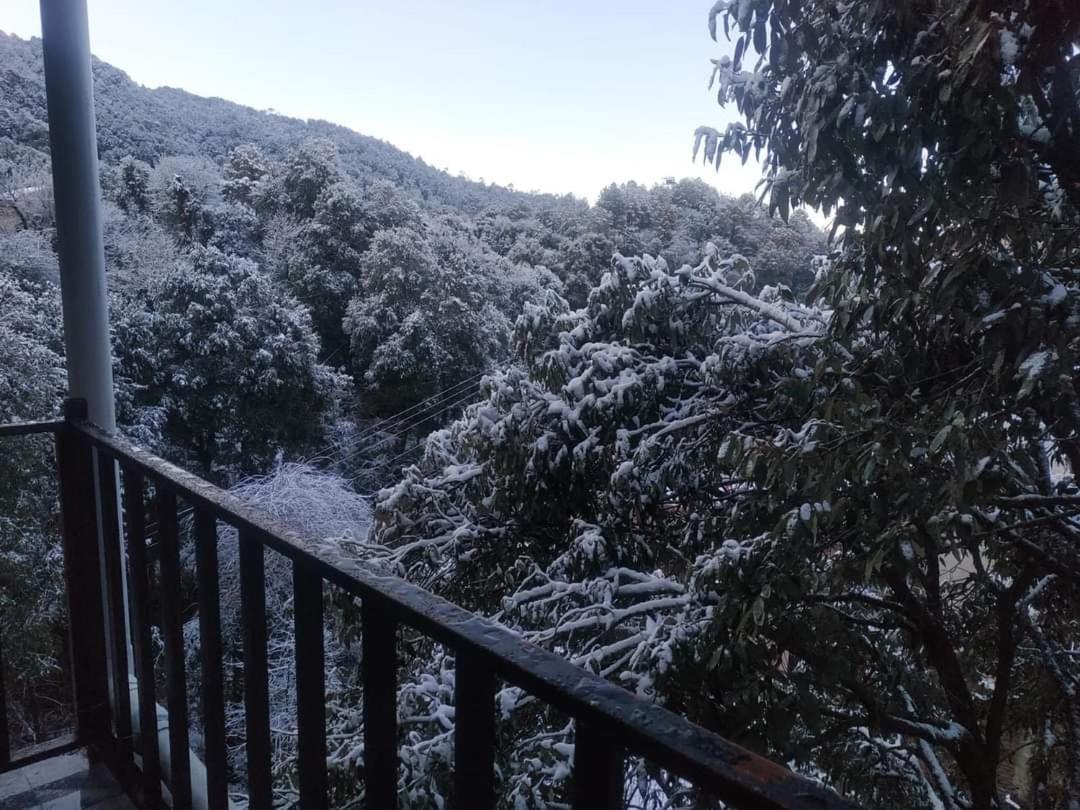 Oak Wood Homestay Banikhet Dalhousie Εξωτερικό φωτογραφία